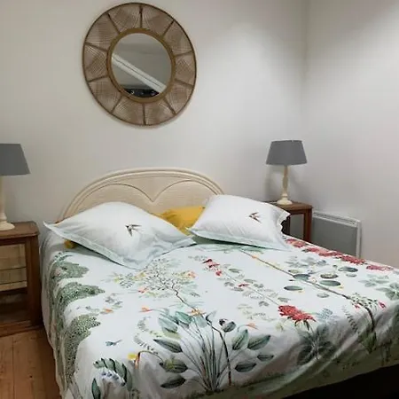 Du Logis De La Roche - Niort - דירה *